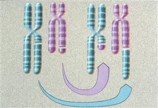 Infertility Infection Drug