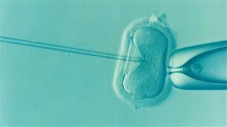 Infertility and Sterility