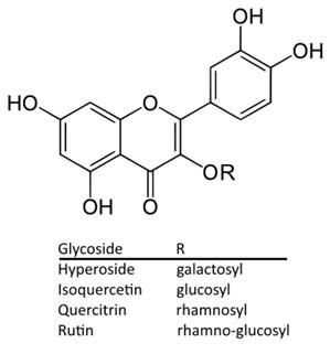 Hormonal Tests for Female Infertility