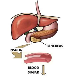 Urology Infertility Dallas