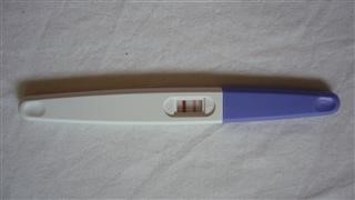 Infertility and Sterility Ppt