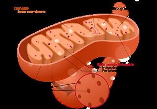 Infertility Statistics Canada 2018