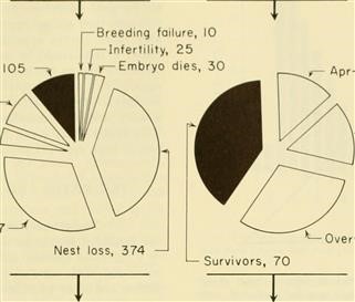 Female Infertility Diagnosis Codes