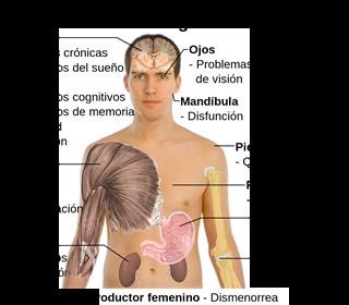 Infertility the Hidden Causes