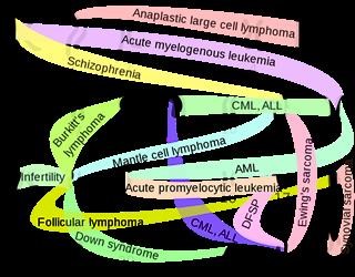 Infertility Lingo