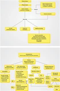 Unexplained Infertility Tests