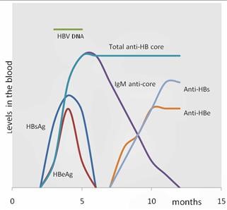 Problems of Infertility in Females