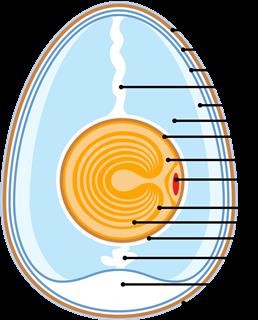 Infertility Clinic Abbott Northwestern