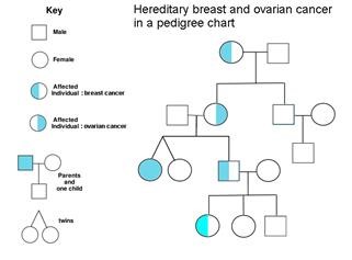 Infertility Treatment Medscape