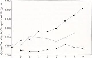 Infertility Test for Females