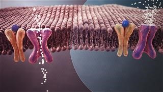 Infertility Rates Canada 2017