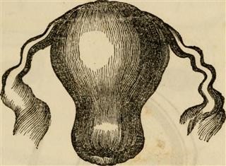 Unexplained Infertility Low Progesterone